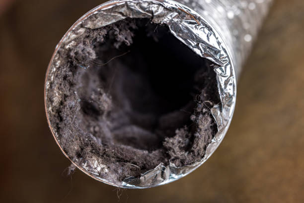 Best Air Duct Cleaning Near Me  in Grand Haven, MI